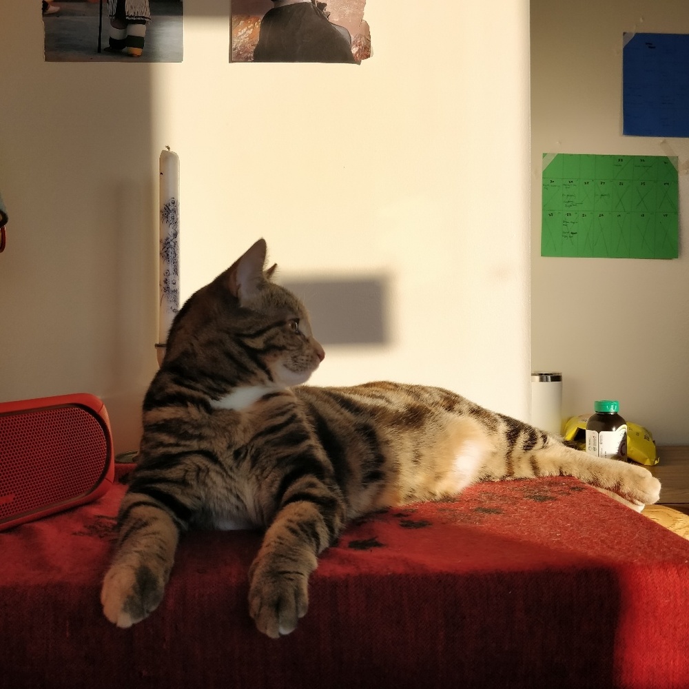 Meet your Posher, Annie
